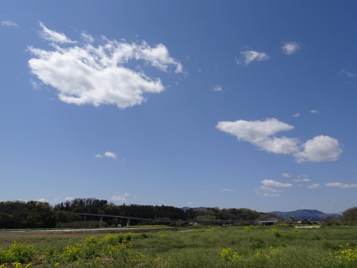 あなたの『生き方』を数秘術で見ます 文章だとやり取りしにくい方、気楽に話しながら占います イメージ1