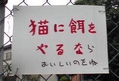 詩OK、英語から日本語、日本語から英語に翻訳します 詩などの抽象的なものを翻訳したい方にオススメです イメージ1