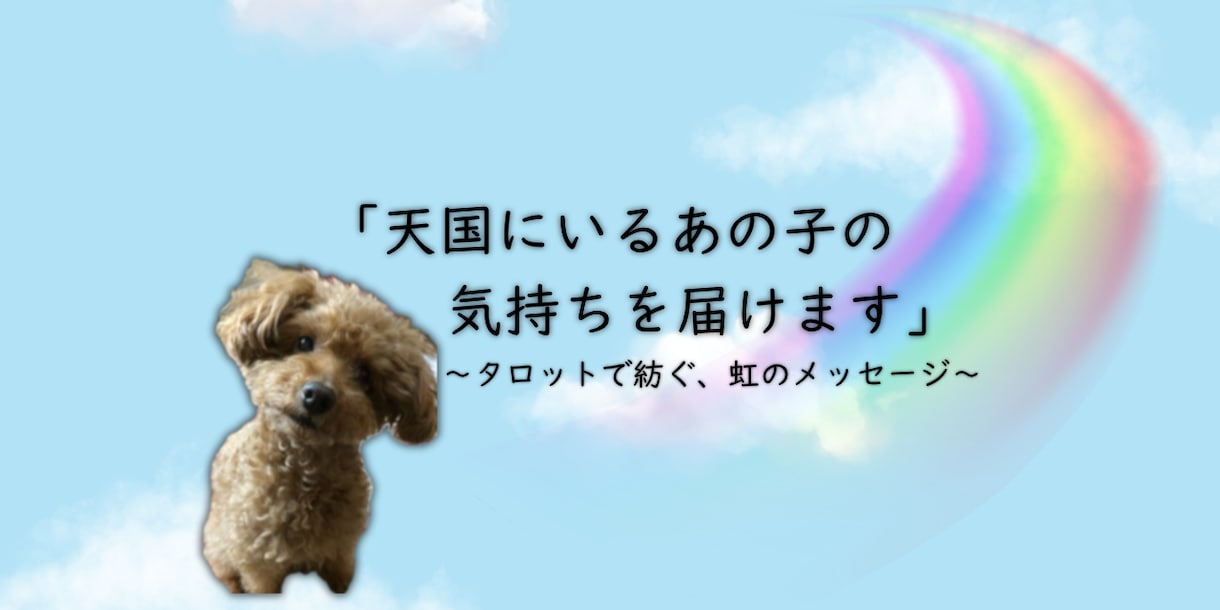天国のペットからお手紙を届けます 今、あの子が何を感じているのかを、潜在意識から届けます。 イメージ1
