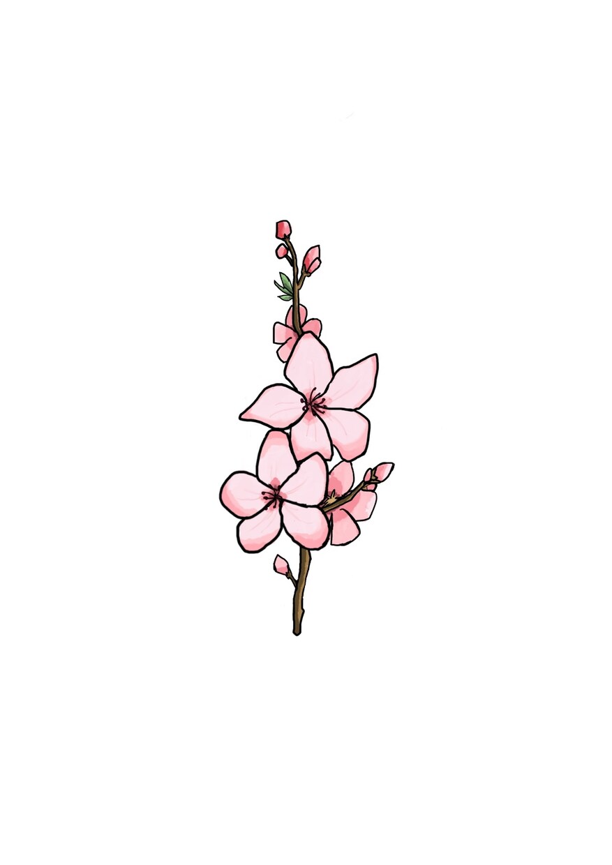 お花のイラスト描きます あなたのお気に入りの花のイラストを描きます！ イメージ2