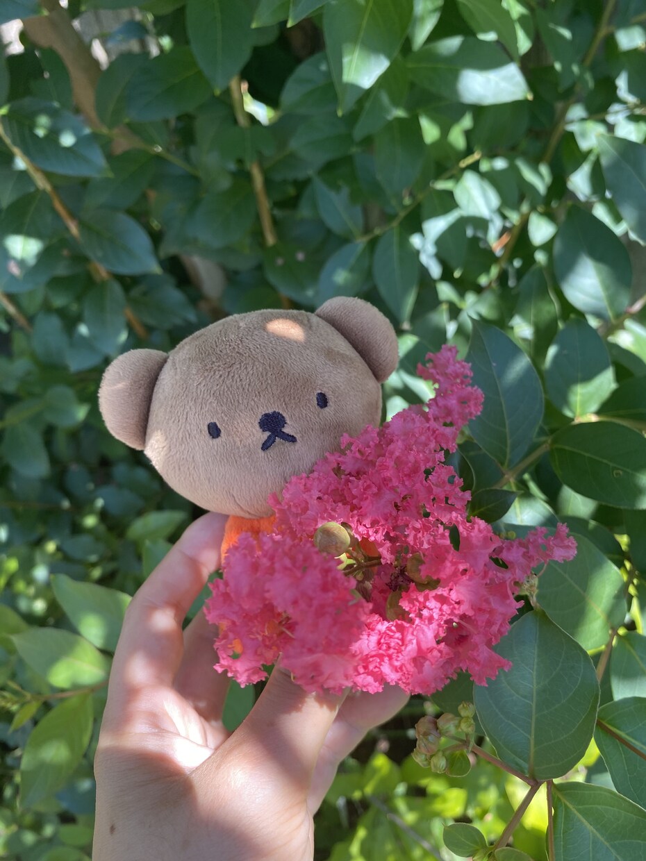 邪気抜きの仕方をお伝えします 邪気を抜いてスッキリしませんか？ イメージ1