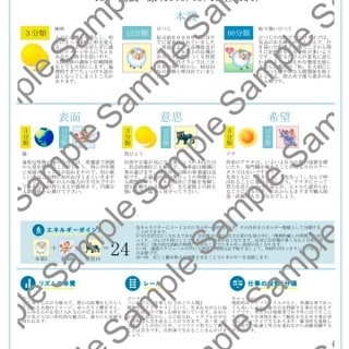 あなたの個性を知り対人関係の解決をお手伝いします 相手を受け入れ認め合う！社内・職場の対人関係アドバイザーです イメージ1