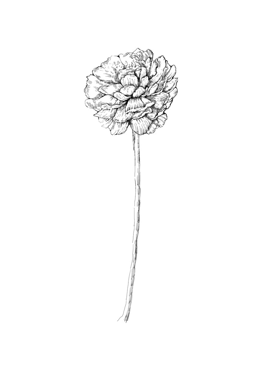 あなたのお好きな花束、描きます お好きな花束データ制作いたします。 イメージ7