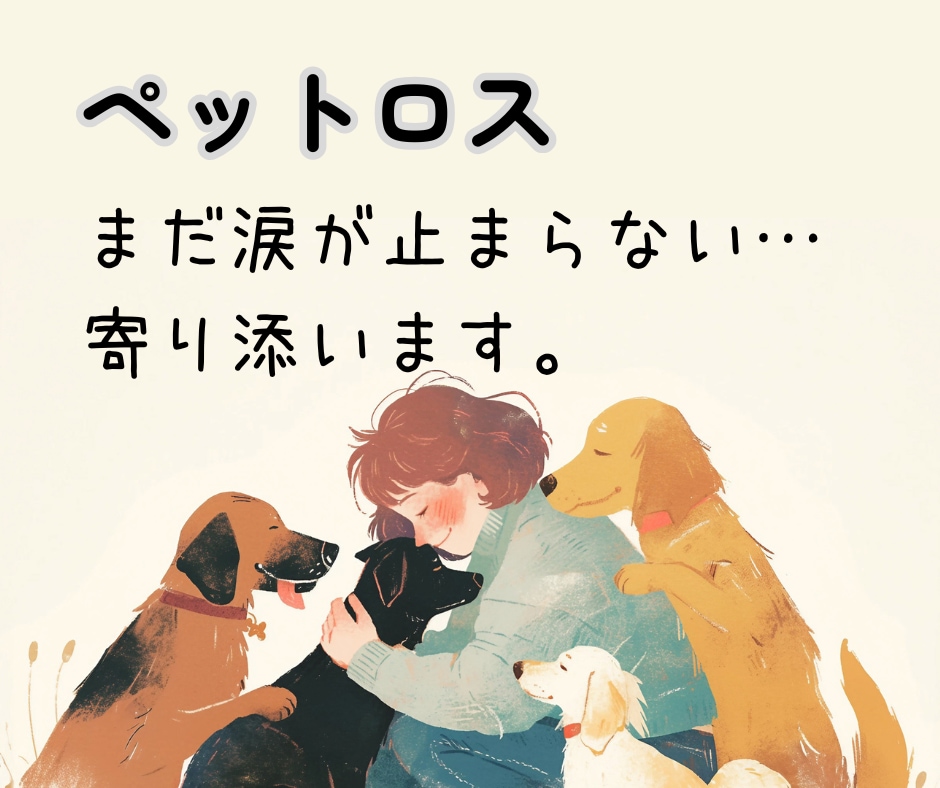 ペットロスのつらいお気持ち、そっとお聴きします 後悔・寂しさ・涙…ひとりで抱え込まず、お話ししませんか？☘️ イメージ1
