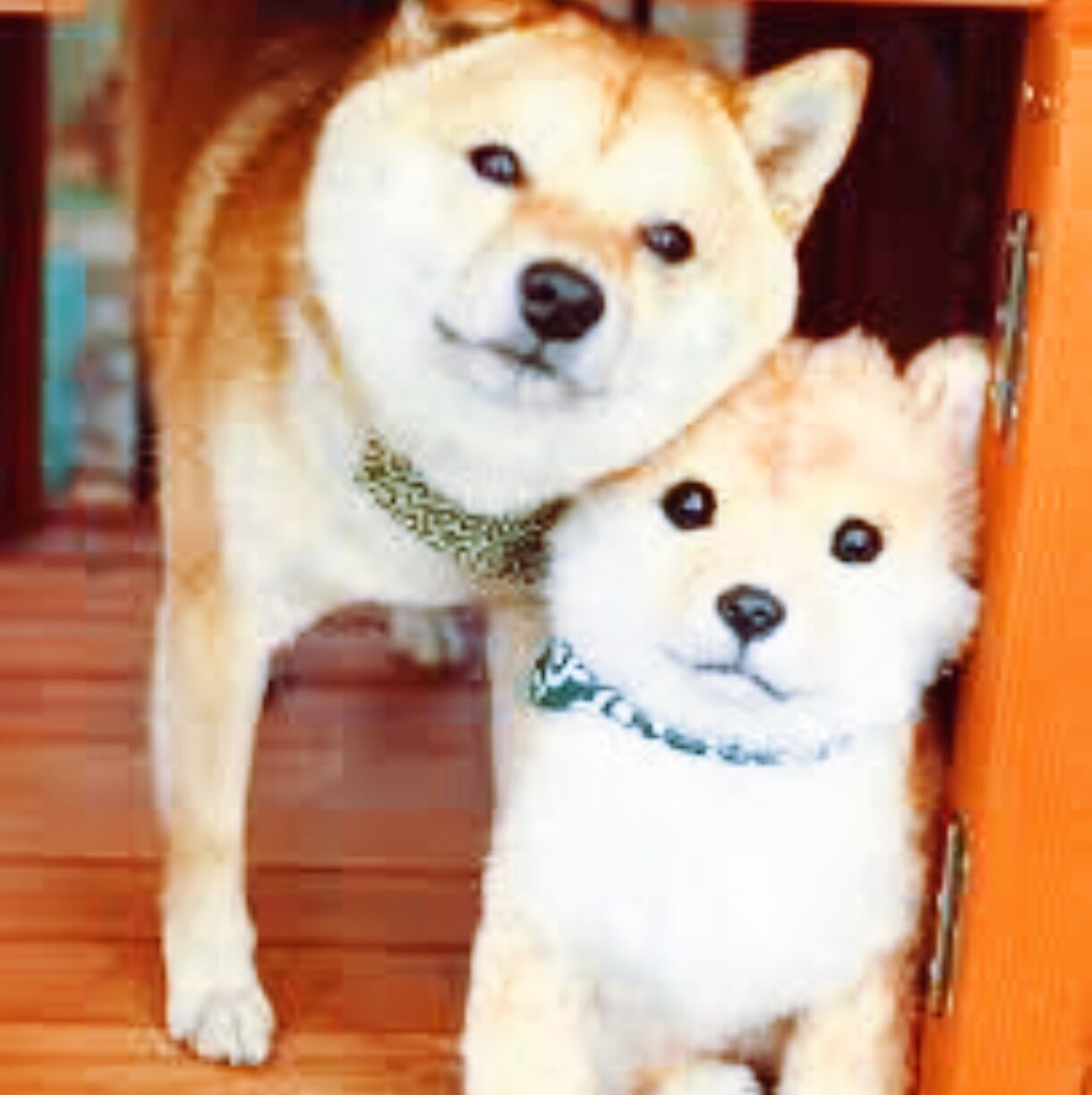 電話越しであなたのそばに寄り添います ひとりで心細く、誰かに甘えたいあなたへ❤︎ イメージ1