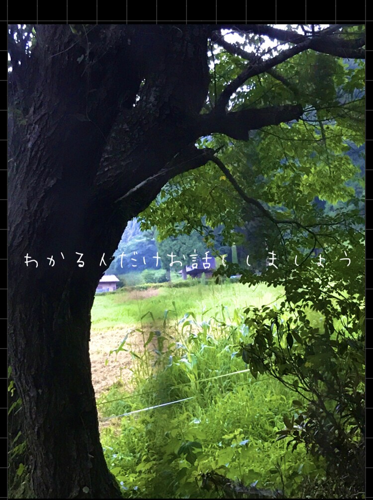 30分チャット龍霊視★時間内無制限★お悩み聞きます チャットで気軽に龍神さまに願掛け祈願。悩み事解決しませんか イメージ7