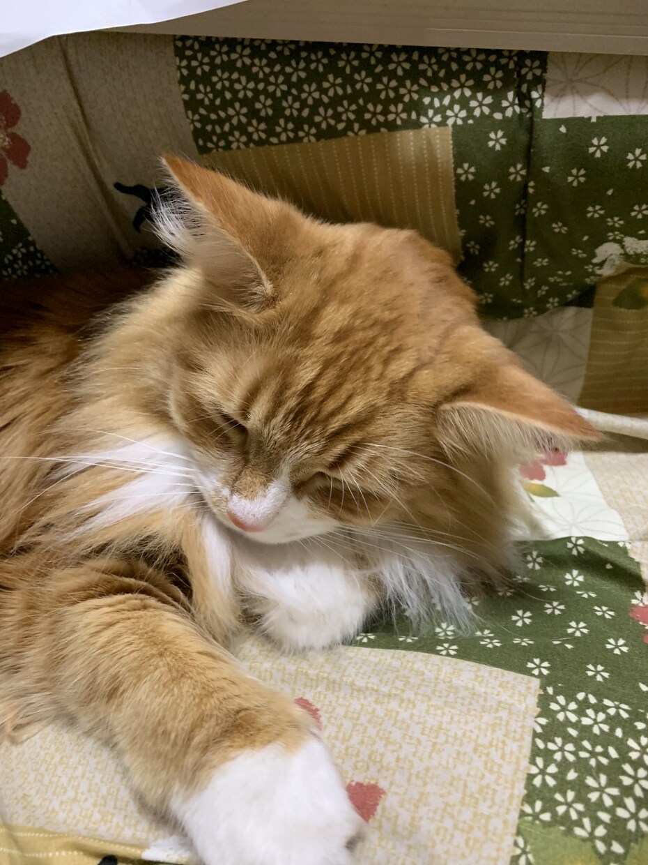 ご希望に沿った動画編集をします いろんな種類に対応していきます！ イメージ1