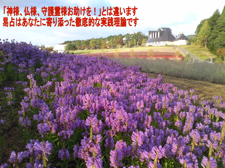 あなたの長所、強み、自己肯定を易占で性格診断します ☯成長を妨げる問題内部事情を透視☯自分探し、就職活動に最適☯ イメージ6