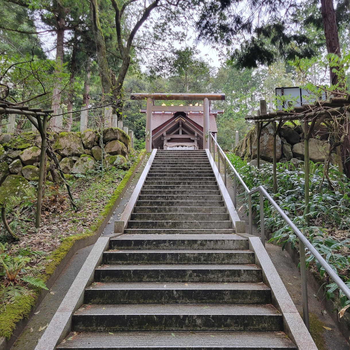 魂の氏神様✨産土神様✨My神社を神様に伺ってきます 相性のいい・Myパワースポット神社、願いを叶いやすくする方法 イメージ7