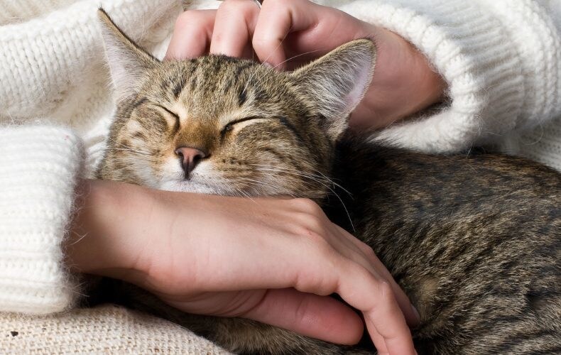 甘えてみてください あなたに寄り添います どんな事でも大丈夫ですよ♩ 疲れてるあなたに癒やしを… イメージ1