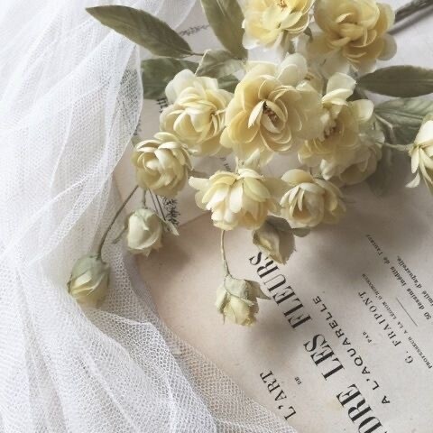 美容の事、仕事、恋愛のお悩み相談何でも乗ります 美容サロンスタッフが接客業を活かしたアドバイスでお悩み解決！ イメージ1