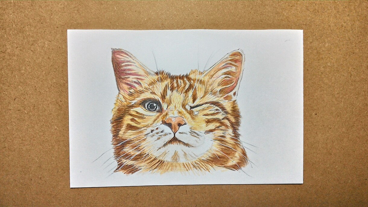 ペットの似顔絵ハガキサイズで描きます 低価格で早く作品を提供します。 イメージ3