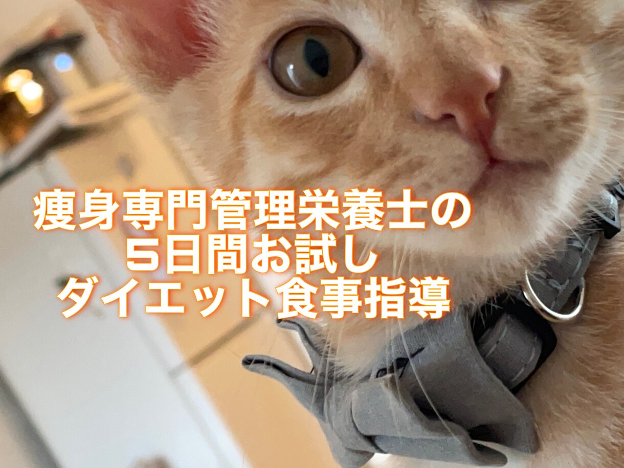 お試し！5日集中ダイエットの栄養指導をいたします 5日間で食事の基礎を学べます！早急に痩せたい方必見です！ イメージ1