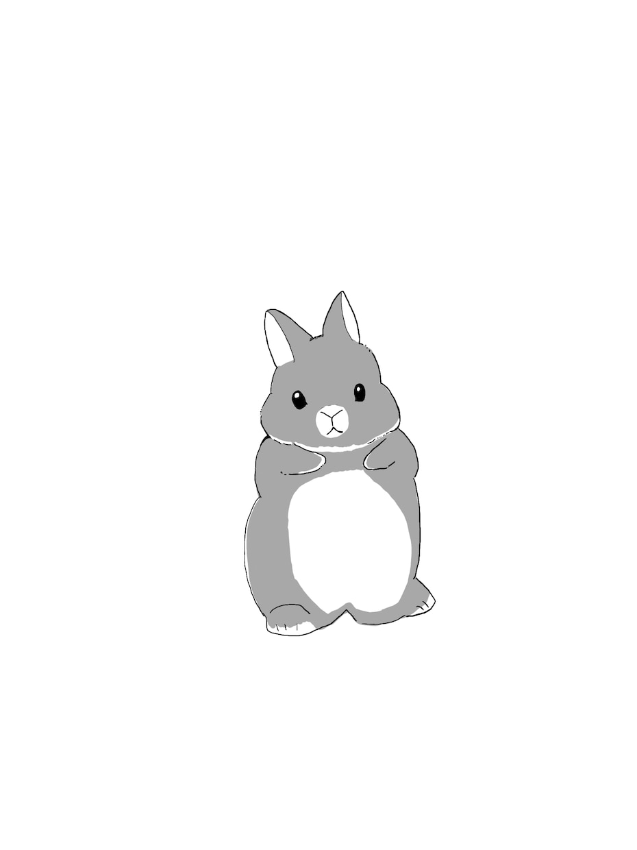 かわいいうさぎのイラスト♡描きます ぜひペットのかわいいうさちゃんをイラストで残しませんか？ イメージ3
