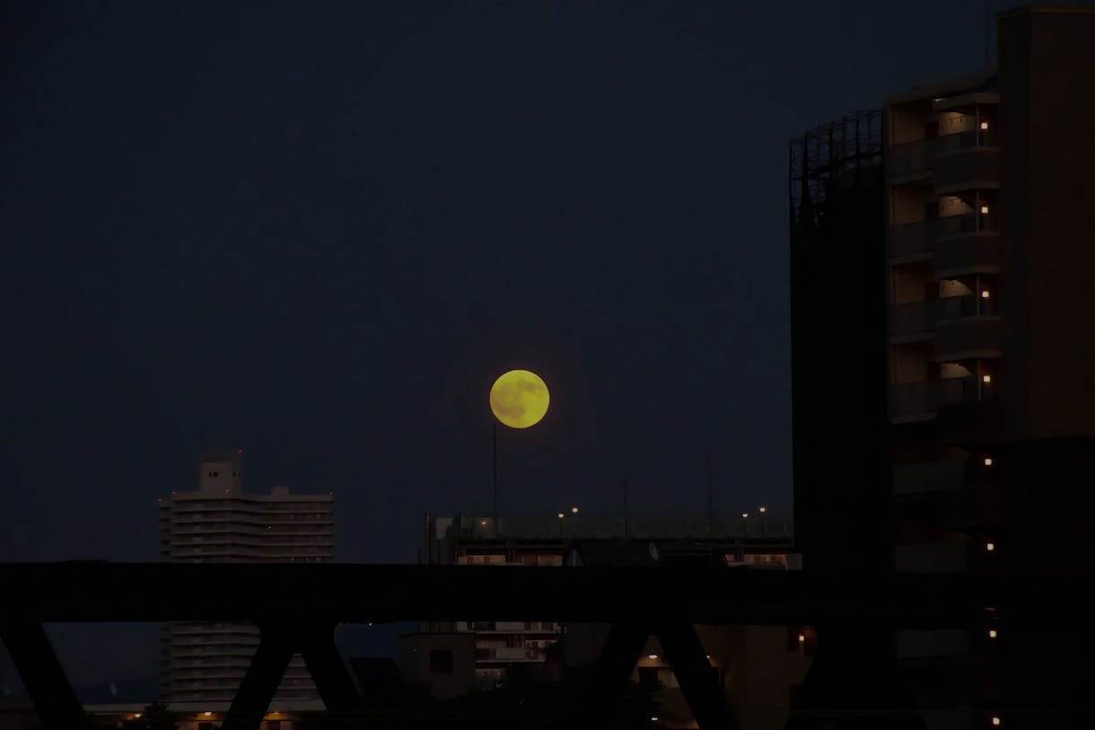 家族を看取るといくことを一緒に考えます 訪問看護師9年目の看護師がお伝えします イメージ1