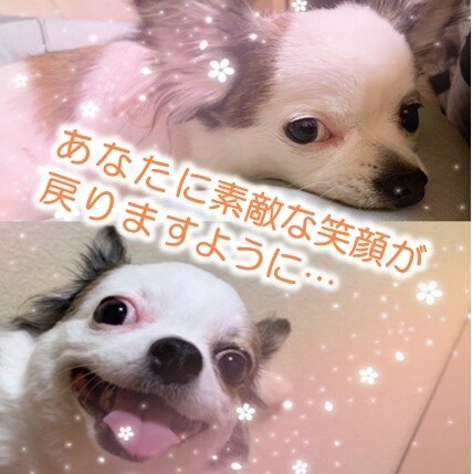 介護職の皆さん(^^)/話したいこと何でも聞きます 介護現場での愚痴や悩みなんでもお聞きします イメージ9