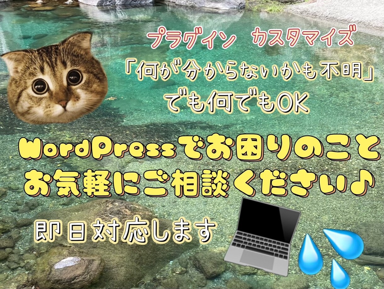 初心者歓迎♪WordPress関連の相談に乗ります プラグイン、カスタマイズ、aspの選び方などなんでもOK イメージ1
