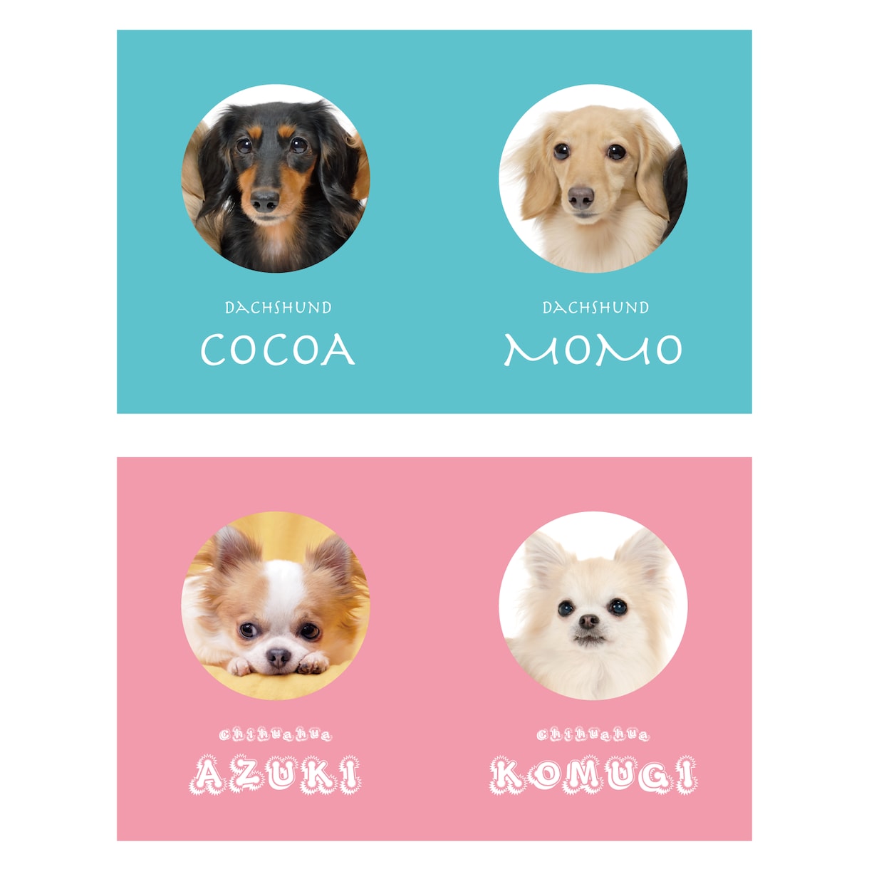 2匹用　シンプルデザイン　うちの子名刺お作りします 【両面印刷100枚】送料無料　セミオーダー　QRコード入り イメージ10