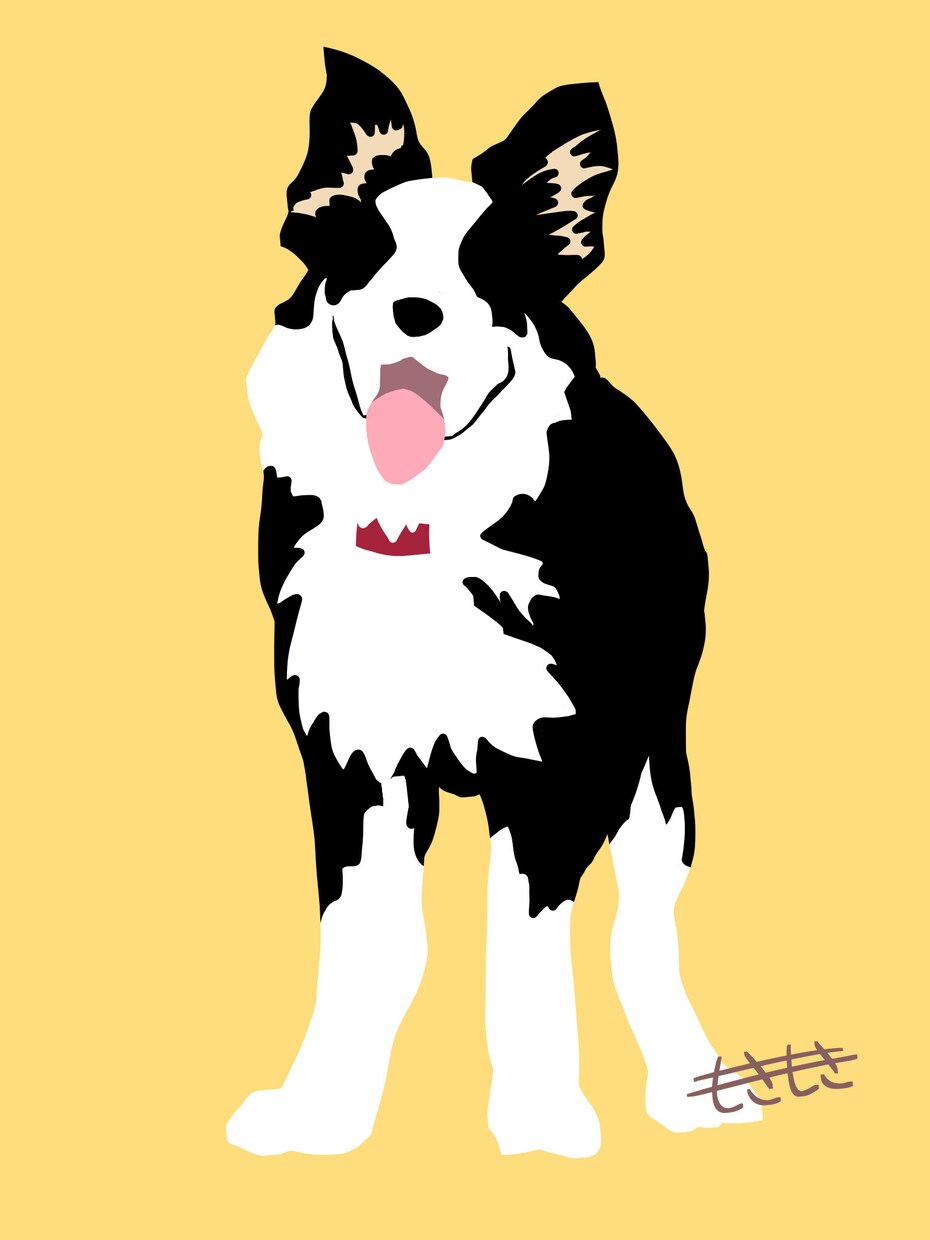 ご家族のイラスト描きます 〜愛犬描かせていただきます(^^)〜 イメージ3