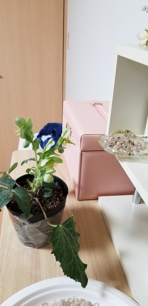 まずは相談！体、心の不調等でアドバイスします 体、心は繋がっています♪お悩みからの症状は身体からかも… イメージ1