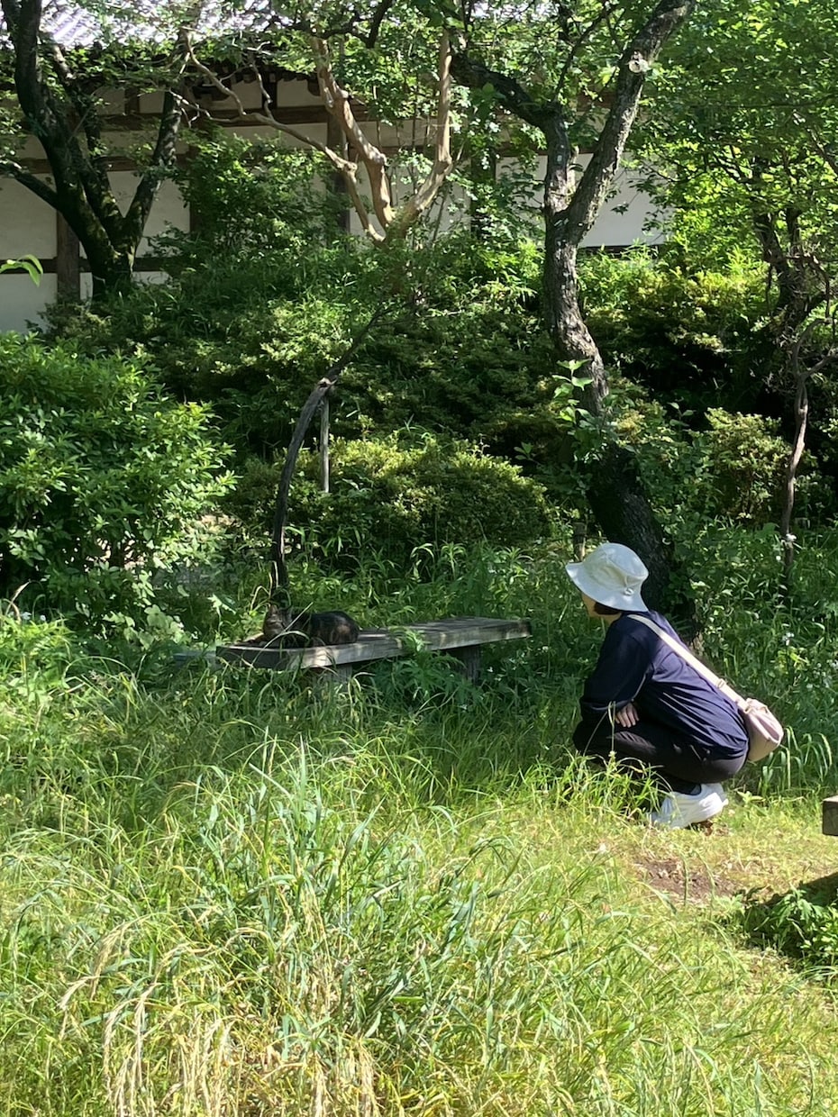 1日30分!ストレッチレッスンします 1日のスタートや隙間時間に、身体を解しましょう! イメージ1