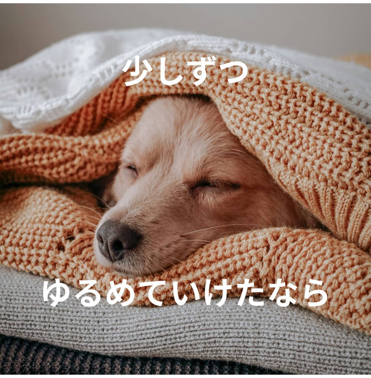 自分を責めてしまう方に、優しくじっくり寄り添います 頑張りすぎて壊れる前に、心を休めてみませんか　自分責め/不安 イメージ6