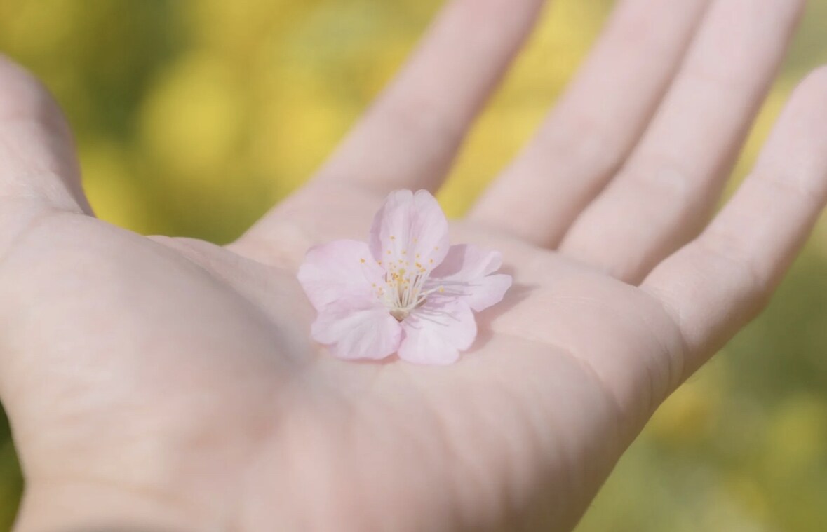 INFJがあなたの心を癒します 共感力の高いINFJが寄り添いながらお話し聞きます イメージ3