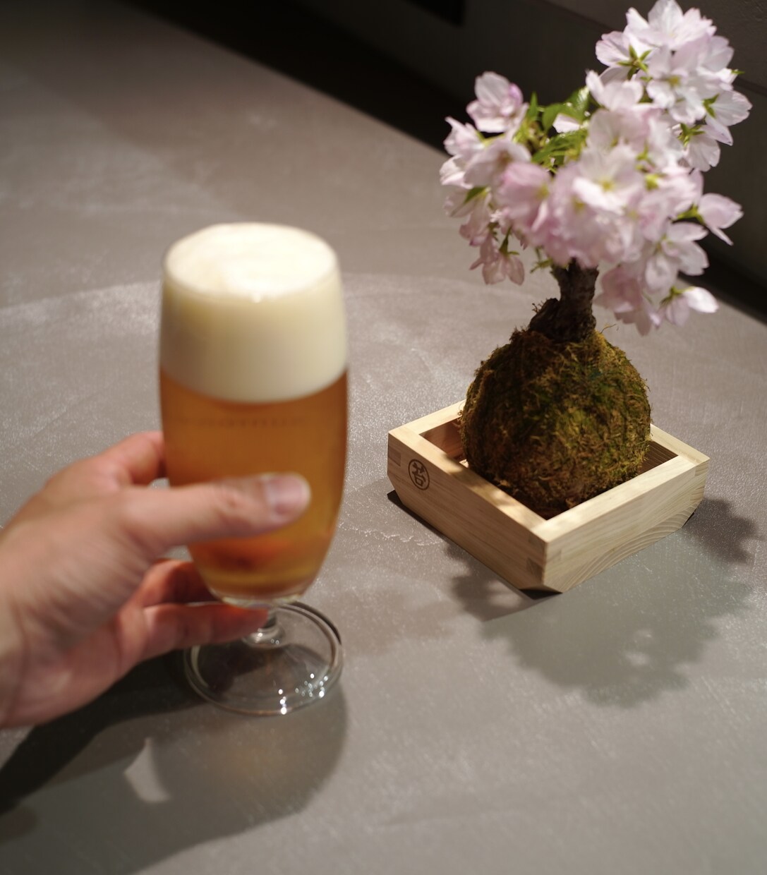 苔玉盆栽をつかった癒やし空間アドバイス致します ホテル･店舗等ディスプレイ提案＆オーダー制作インバウンド向け イメージ7