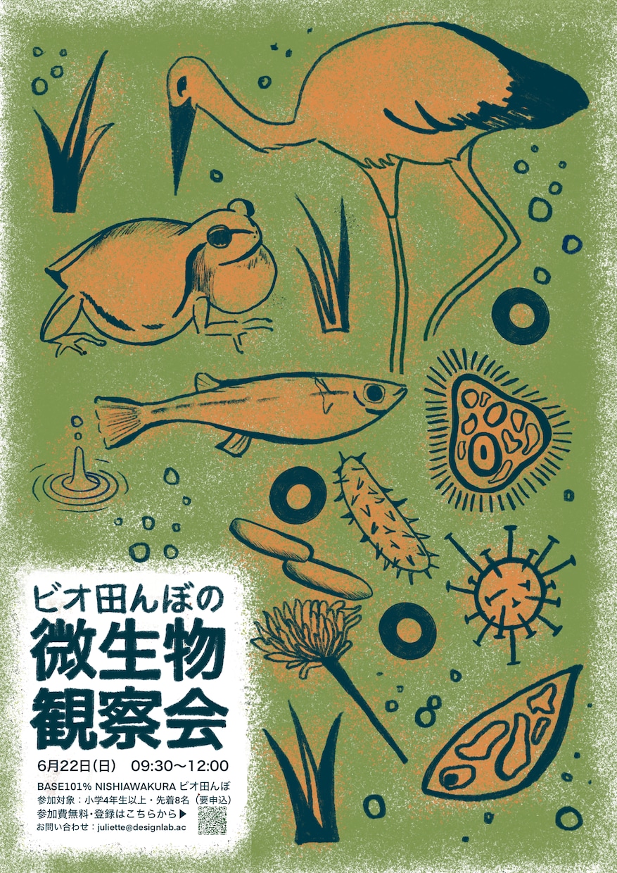 動物や生き物の手書きイラスト描きます 元理系ならではの細やかな観察力を活かしたリアルな絵を描きます イメージ2