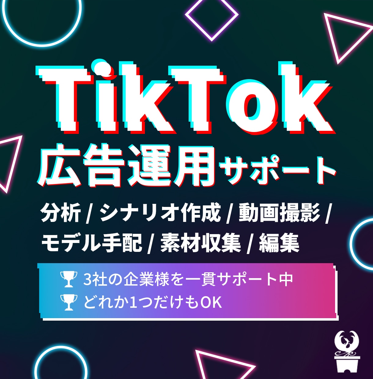 TikTok広告の運用を全サポートします 分析・シナリオ・撮影・素材収集・モデル手配・編集 イメージ1