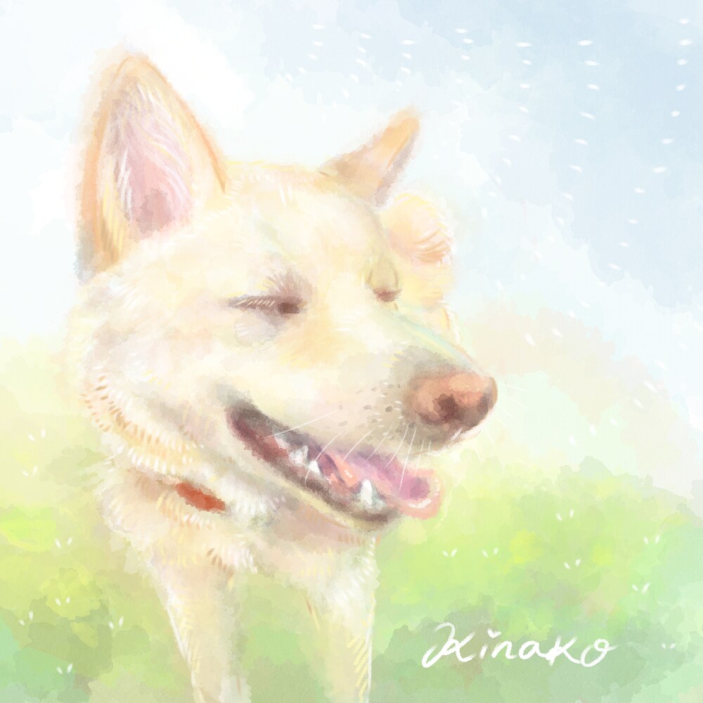 あったかくてやさしいペットのイラストお描きします 愛するペットの思い出を形に残しませんか？ イメージ3