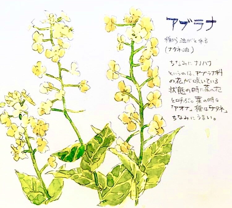 アナログイラスト描きます 簡単なペン画から、ちょっと細かい絵まで、何でも描きます イメージ6