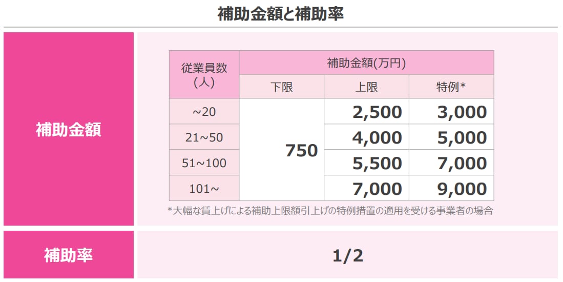 新事業進出補助金の事業計画書を作成します 【コンサル x 投資銀行出身者】短納期で高品質な事業計画書 イメージ7