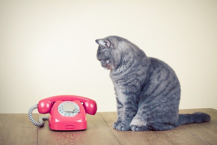 仕事のお話し、愚痴を聞きます 人間関係が大変、ノルマがきついなどなど イメージ1