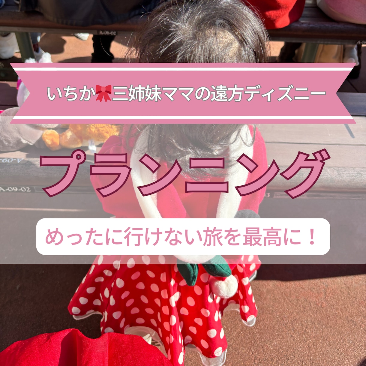 やりたい事を叶えるディズニー1日プラン作成します 久しぶりでも迷わない！めったに行けない旅を最高に イメージ1