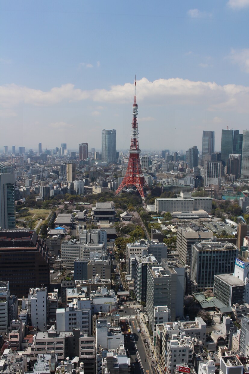 港区のオススメ不動産をご紹介します 住みやすく割安な物件を紹介！港区在住の為、内覧も代行します。 イメージ1