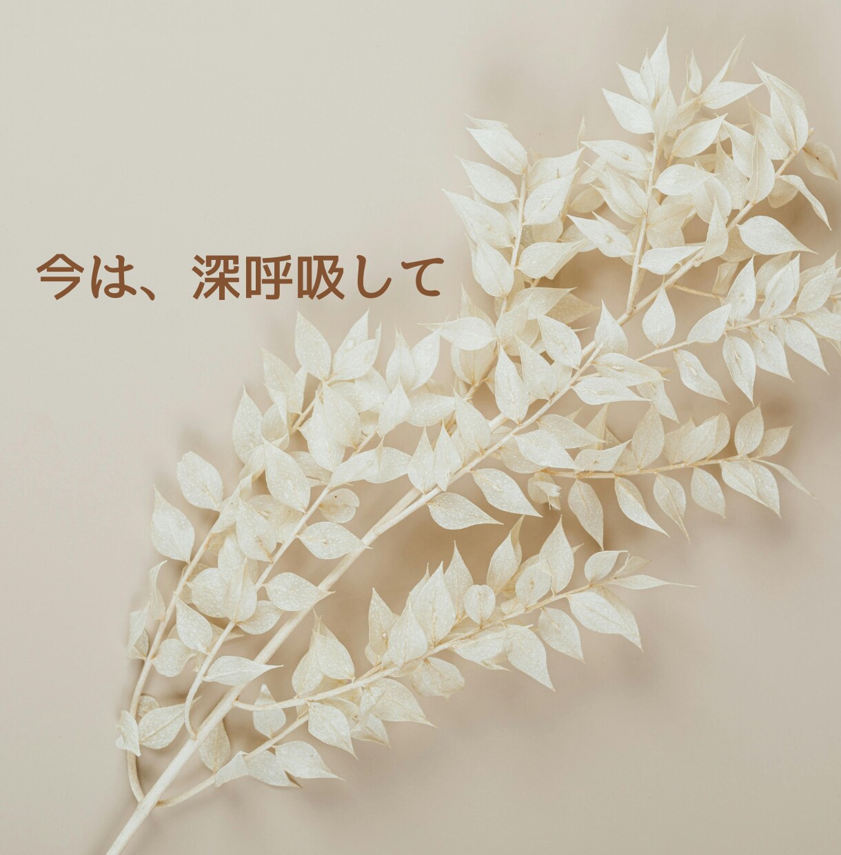 自分を責めてしまう心にそっと寄り添います ☆☆安心して本音を話せる対話で、心をそっとほどきます☆☆ イメージ9