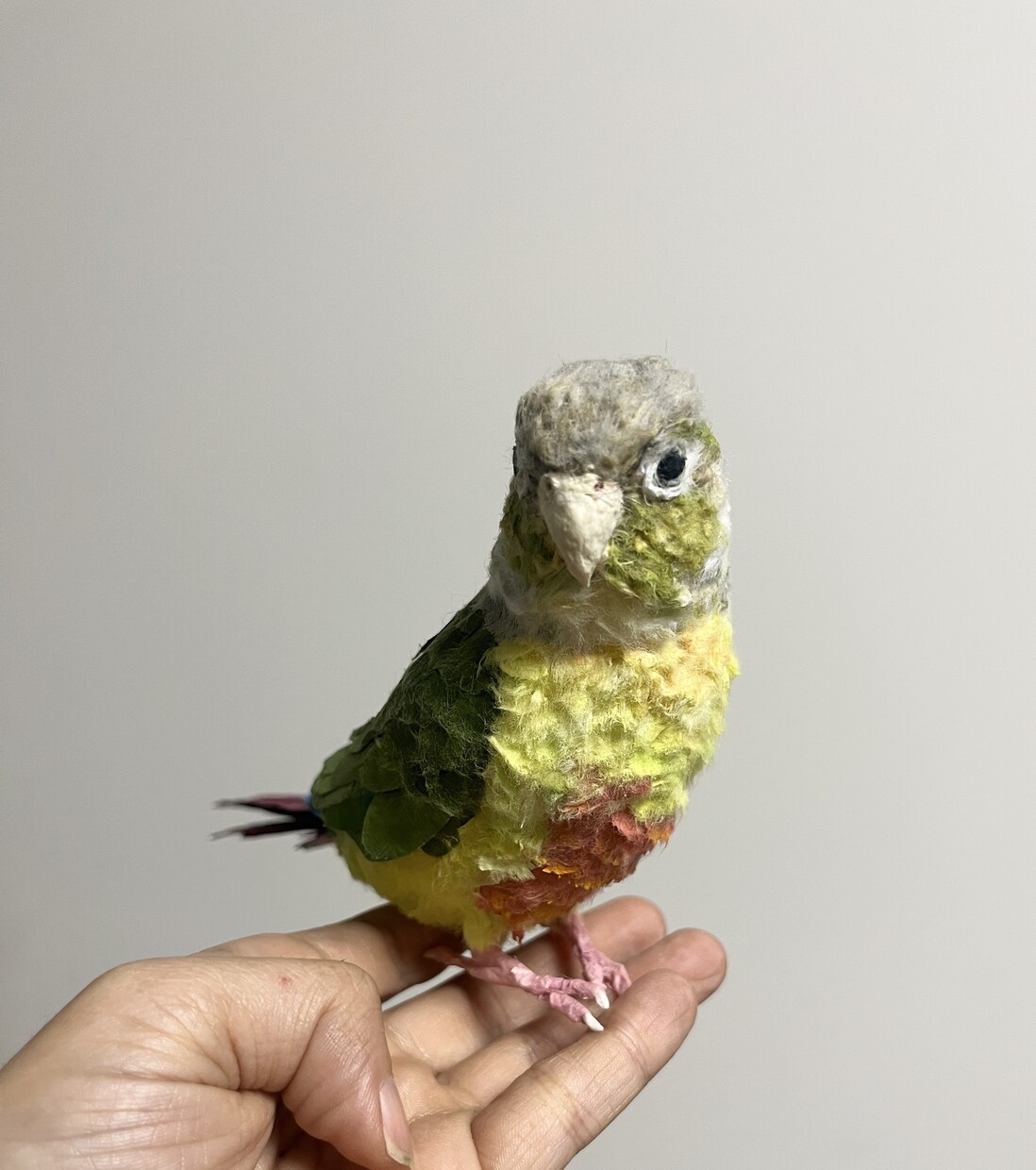 リアルで可愛いペットのインコ人形を作成します 大事なペットちゃんを和紙で可愛く作ります！ イメージ6