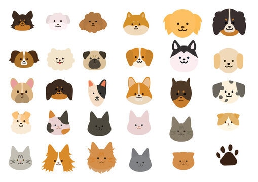 シニア犬専門栄養管理致します その子に合ったレシピをヒアリングを行い作成します！ イメージ1