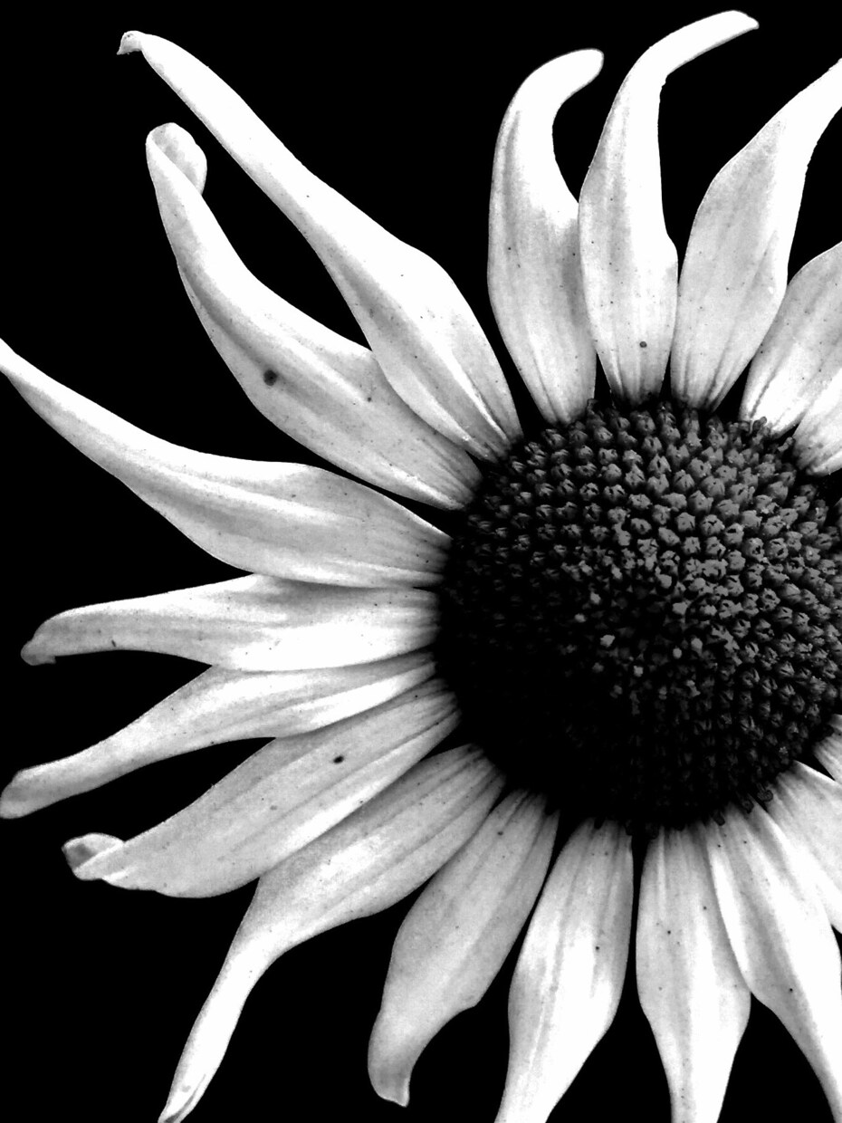 空間を彩る飾れる写真を提供します ☆グッズ用の写真、アートな写真、記念写真、業務用の写真☆ イメージ8