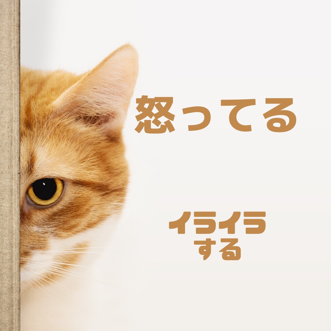 電話が苦手な方。3日間3往復でお話聞きます 文章の方が気持ちを上手く伝えられるあなた。寄り添います。 イメージ2