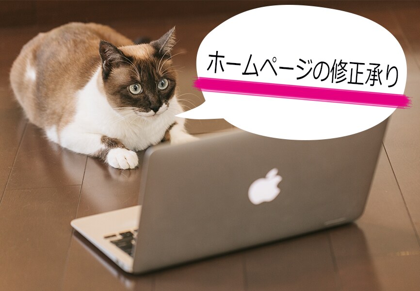 Webサイトの修正を1ヶ所承ります ホームページ制作・管理などでお困りの方に。 イメージ1
