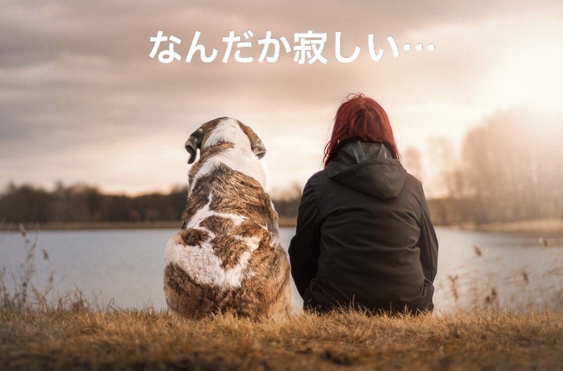 どんな話でも1分〜でもOK！お話聞きます お友達感覚でご気軽にどうぞ　なかなか人に話せない悩みなど イメージ2