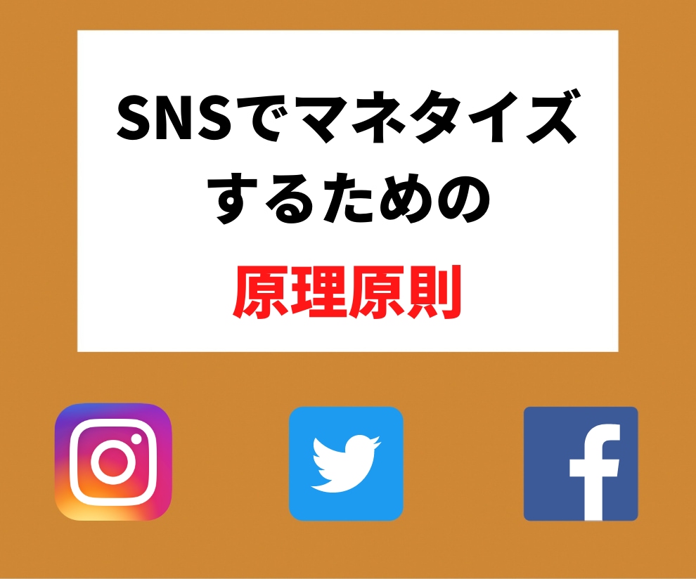 個人がSNSでマネタイズするための原理原則教えます SNS運用でマネタイズするための全体像＆原理原則 イメージ1