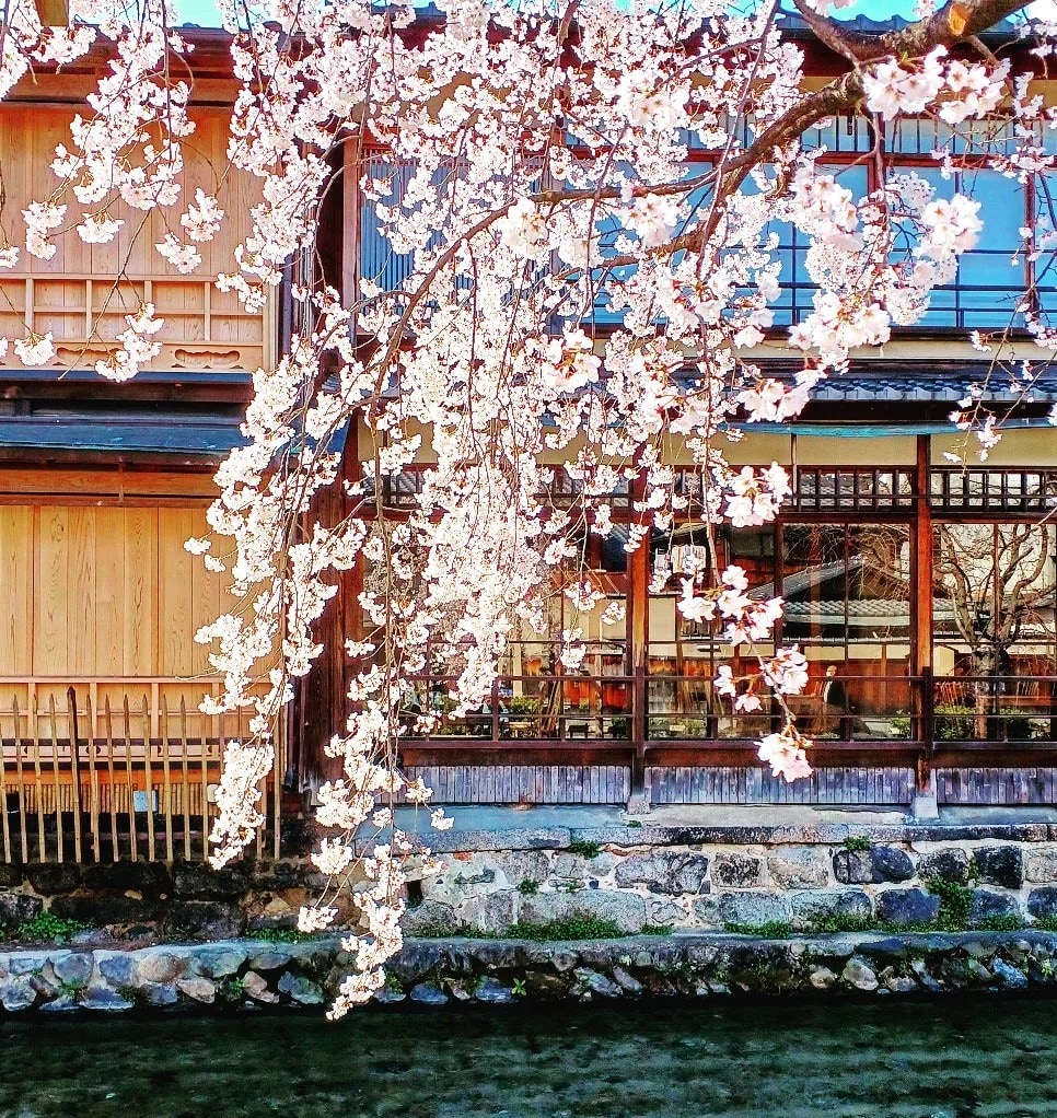 京都の四季の写真を提供します 京都の癒される四季折々の写真を！ イメージ4