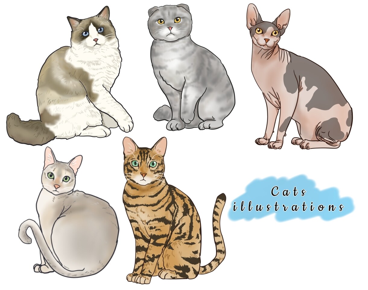 リアルなタッチで動物のイラストを描きます 【商用可】スマホの壁紙、SNS用やアイコン、挿絵にどうぞ！ イメージ3