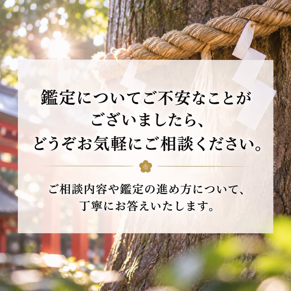 守護霊の正体とあなたへのメッセージを霊視します あなたを見守る存在、魂の使命と今必要な導きを読み解く イメージ5