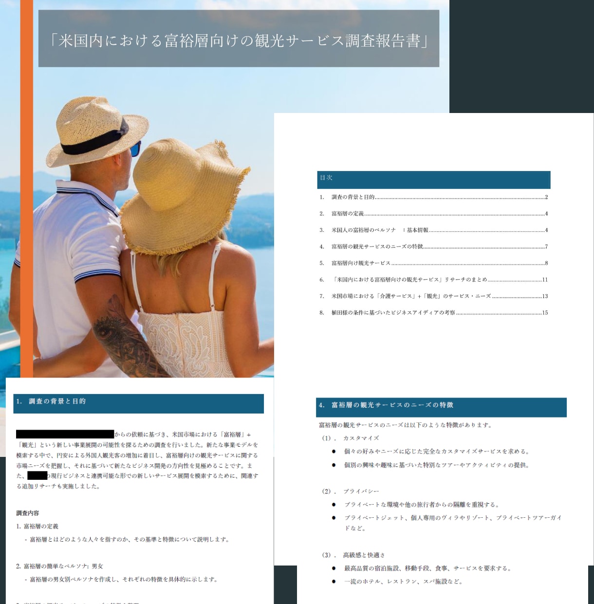 海外マーケットリサーチ＆レポート作成サポートします 海外市場のチャンスを探り、14年の経験で成功をサポートします イメージ6