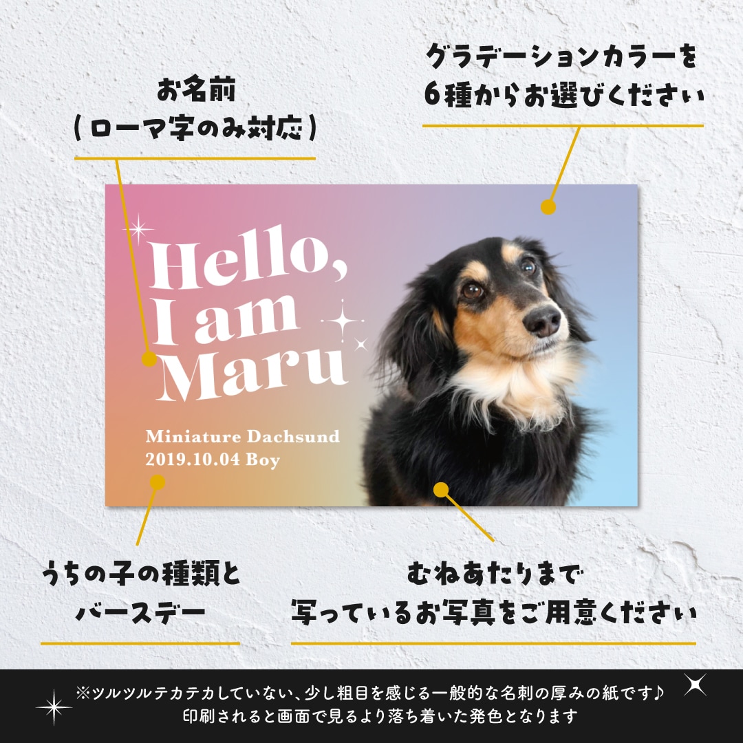 グラデーションカラーが可愛いペット名刺制作します 100枚印刷代込！送料無料！オフ会・イベントで大活躍！ イメージ9