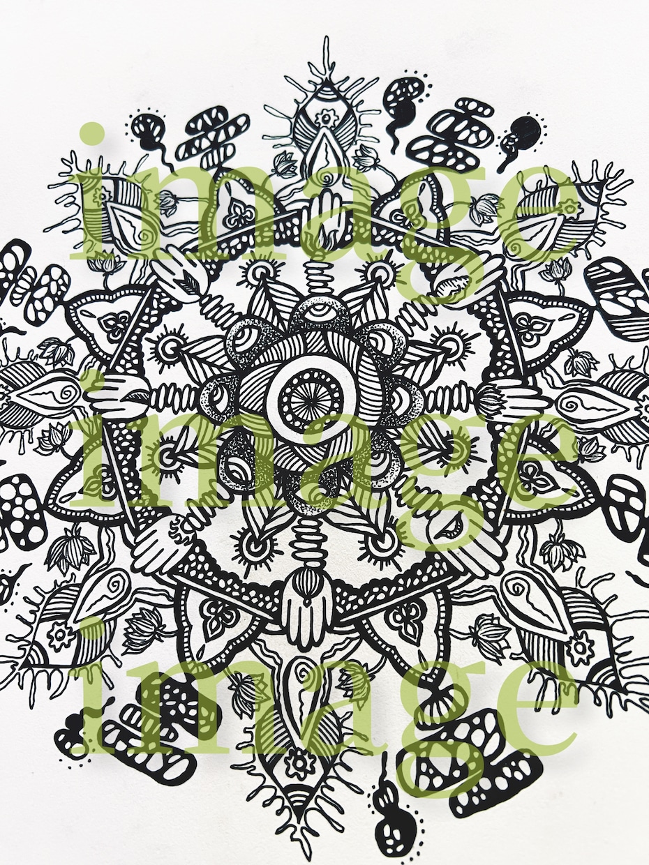 曼荼羅風イラスト手描きで描きます 個性的なモチーフ、ならではのデザインで描いていきます イメージ4